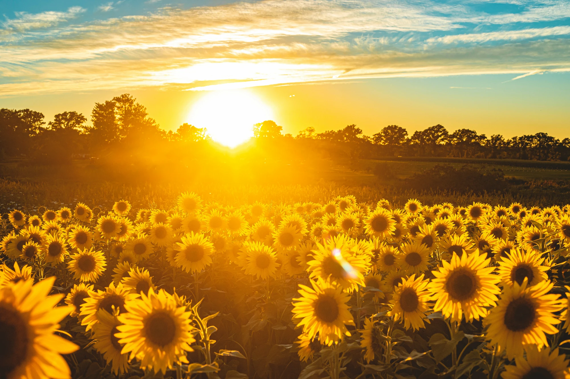 Photo by Todd Kent on Unsplash
